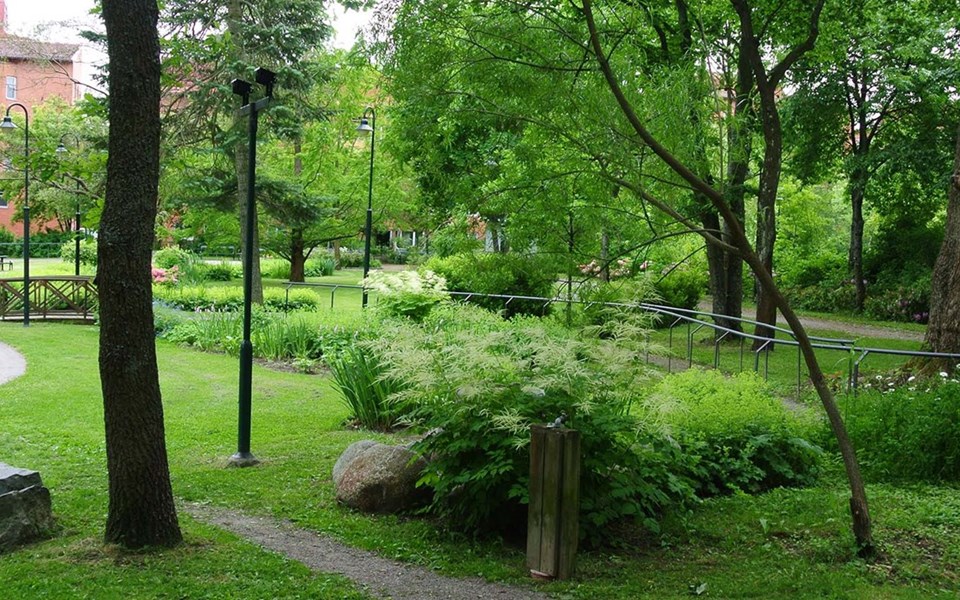 Parkområde med gräsytor, träd och promenadstigar, foto.
