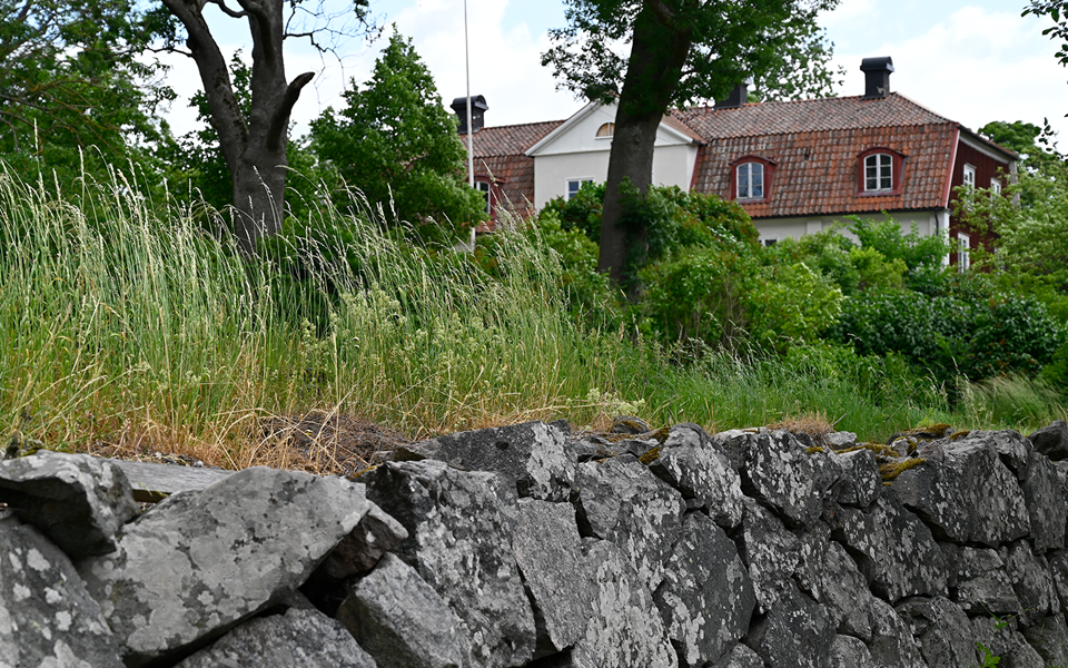 Hus med tegeltak skymtar bakom gräs och grönytor, stenmur i förgrunden, fotografi.