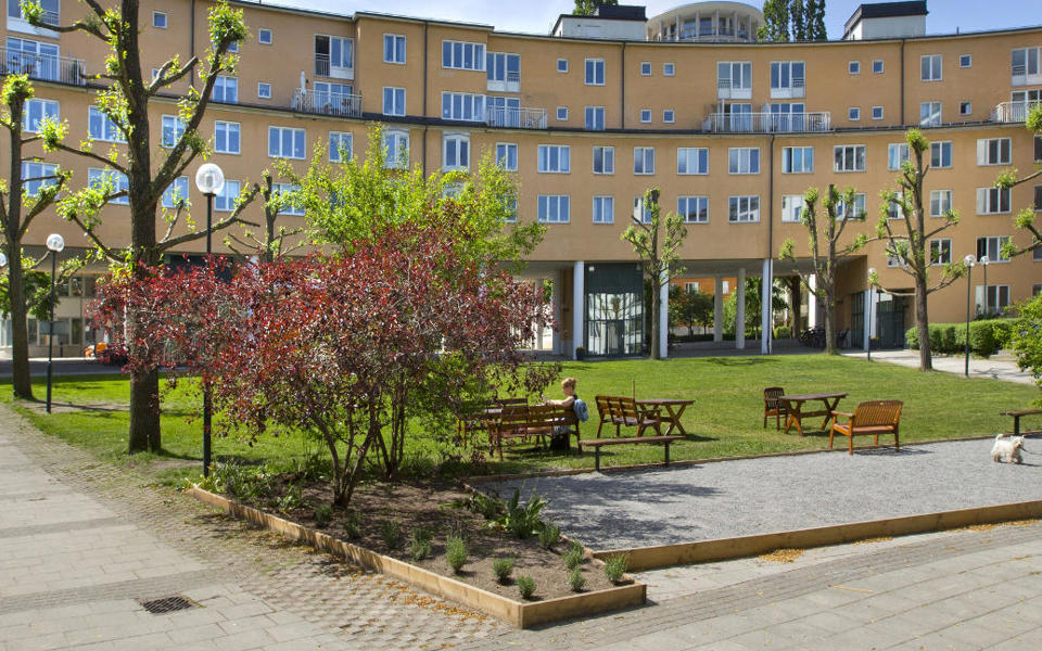 Liten park omgiven av flerbostadshus. Gräsmatta, träd, buskar, planteringar. Människor i rörelse. Foto.
