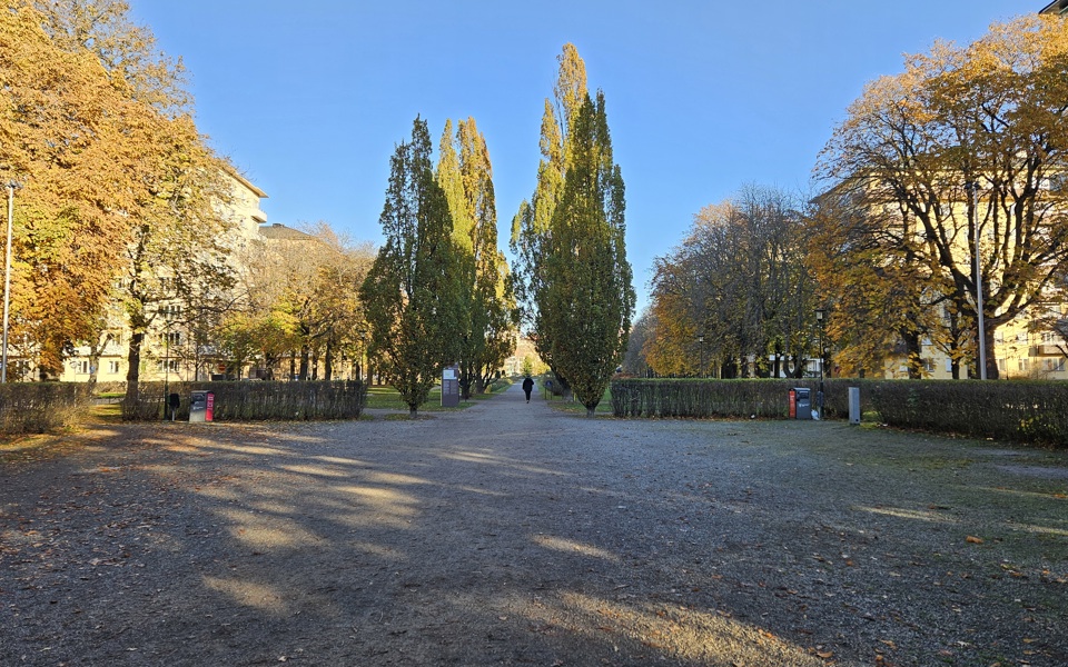 Grusyta och gångväg som leder in i en park, i bakgrunden syns flerbostadshus och träd med gulnande löv, fotografi.