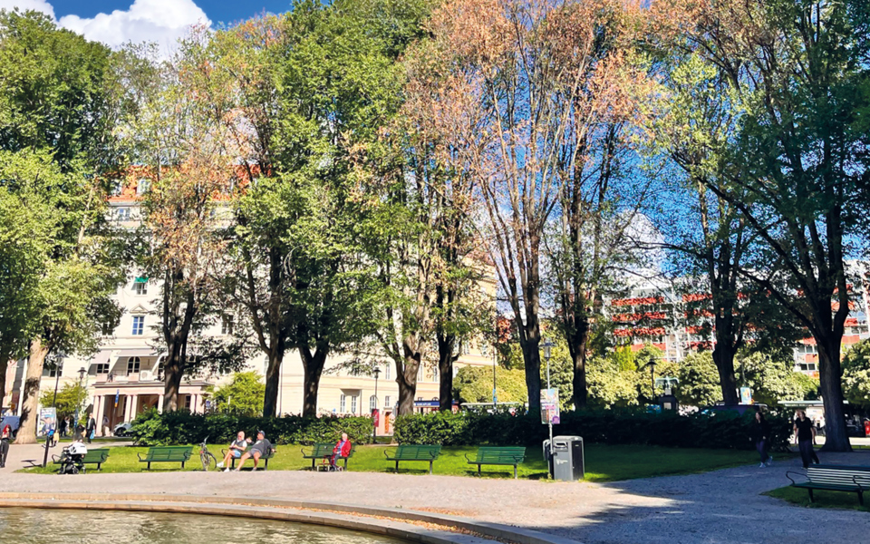 Park vid Karlaplan med almsjuka träd. Några människor är i rörelse och några sitter på bänkar, foto.
