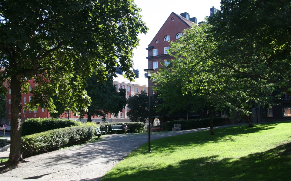 Gångväg i grönområde, bakom träd skymtar huskropp, fotografi.