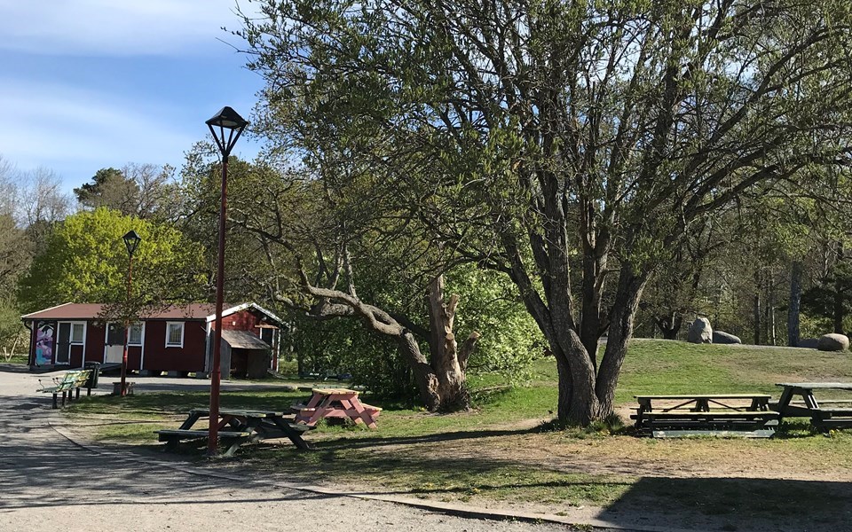 Lekplats med gräsmattor, stora träd, sittplatser och en gångväg fram till ett litet rött hus. Foto