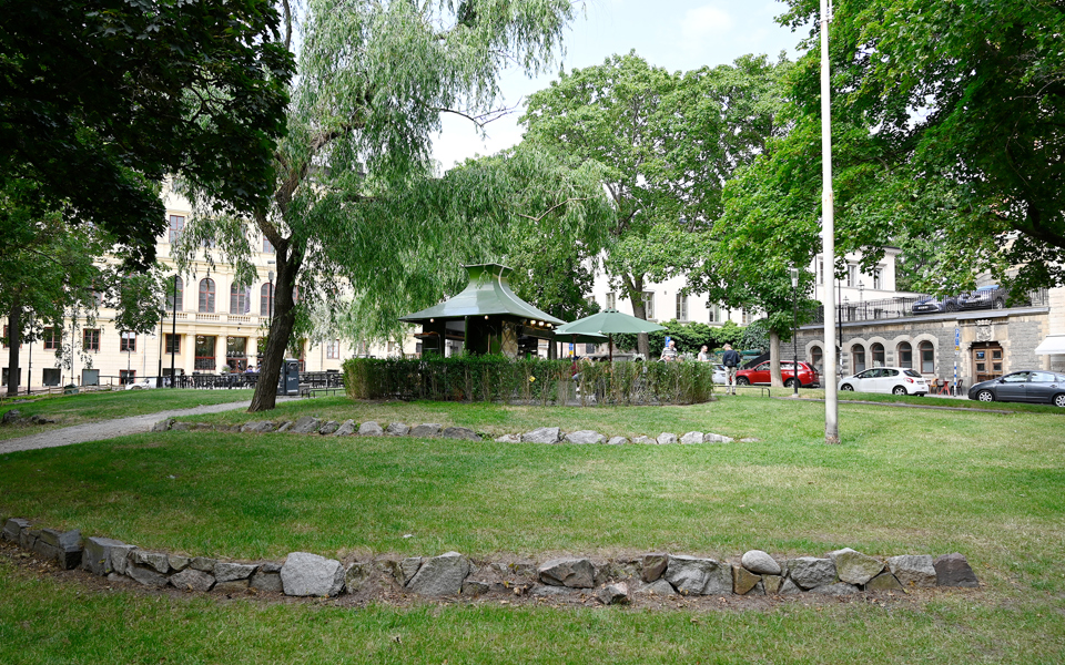 Gräsmatta, gångväg, flaggstång, träd och café. Foto.