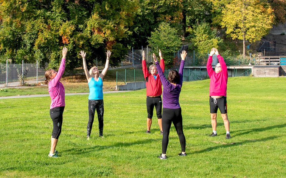 Fem äldre utövar gymnastik på en gräsmatta 