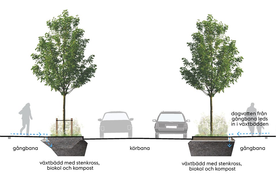Tvärsnitt av vägen med växtbäddar på båda sidor körbanan.