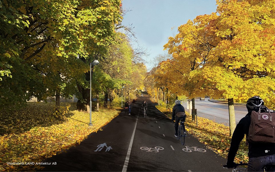 Cyklister på en cykelbana omgiven av träd, visionsbild.