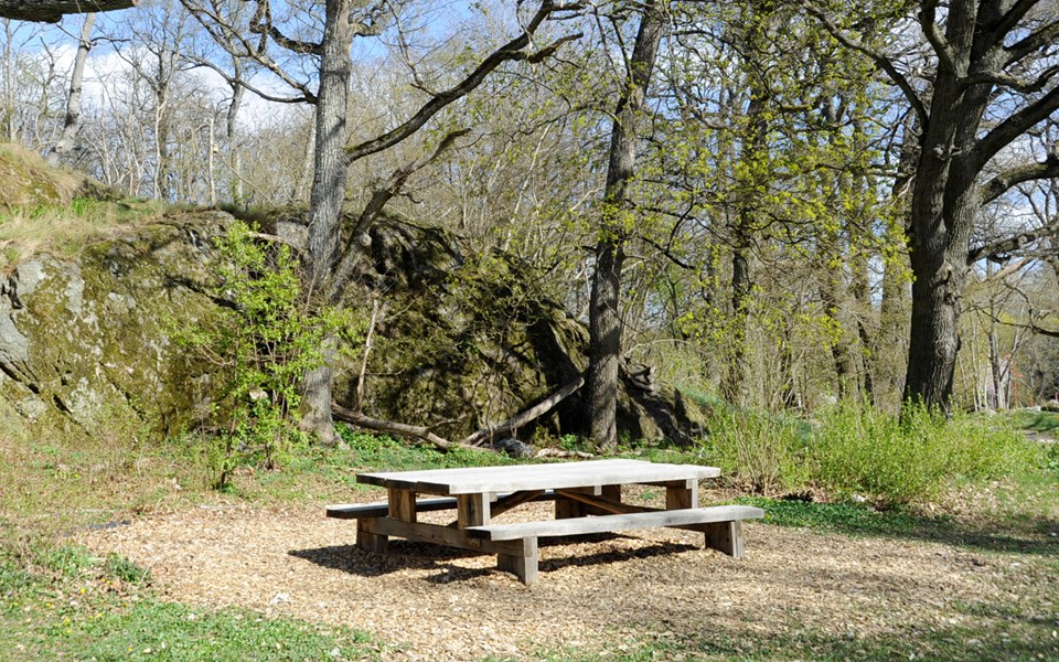 Picknickbord i skogsmiljö, mosstäckt klippa i bakgrunden, fotografi.