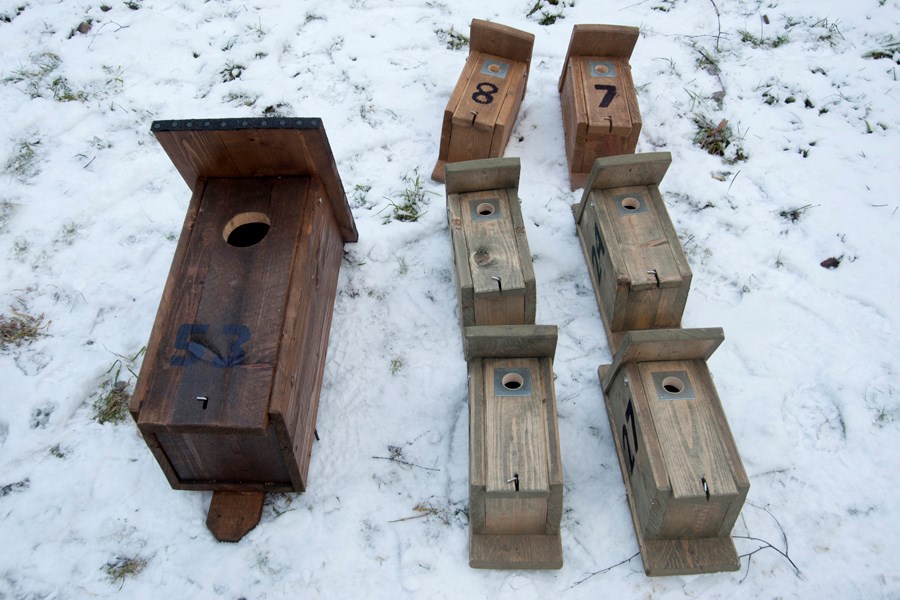 Numrerade fågelholkar i olika storlekar som ligger på marken.