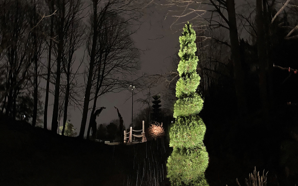 Spiralformat träd upplyst på kvällen Vårbergstoppen lekplats.